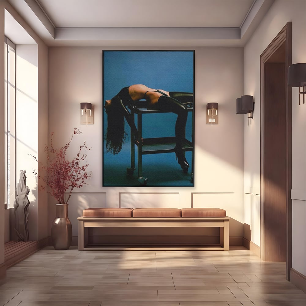 Tablou canvas cu tablou canvas cu silueta curbata pe masa, in rama de aluminiu negru